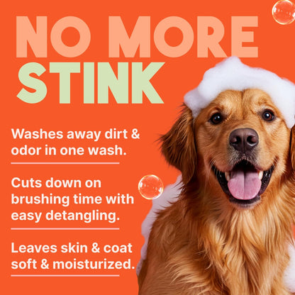 TropiClean 2-in-1 Dog Shampoo and Conditioner, Moisturizing Dog Detangler, Puppy Safe, Made in the USA, Papaya Scent, Cat & Kitten Safe, 20oz.