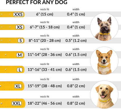 CollarDirect Rolled Leather Dog Collar, Soft Padded Round Puppy Collar, Handmade Genuine Leather Collar Dog Small Large Cat Collars 13 Colors (15-19 Inch, Yellow Smooth)