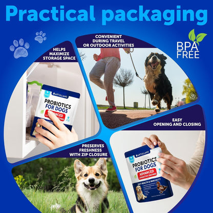 Probiotics for Dogs - Support Gut Health, Itchy Skin, Allergies, Immunity, Yeast Balance - Dog Probiotics and Digestive Enzymes with Prebiotics - Reduce Diarrhea, Gas - 70 Probiotic Chews for Dogs