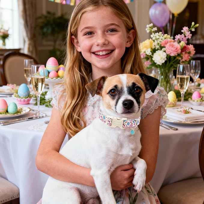 DOGWONG Easter Dog Collar-Cute Pink Easter Egg Dog Collar, Easter Cattot Collars Puppy Collar Gifts with Quick Release Buckle for Girl&Female Dogs,M