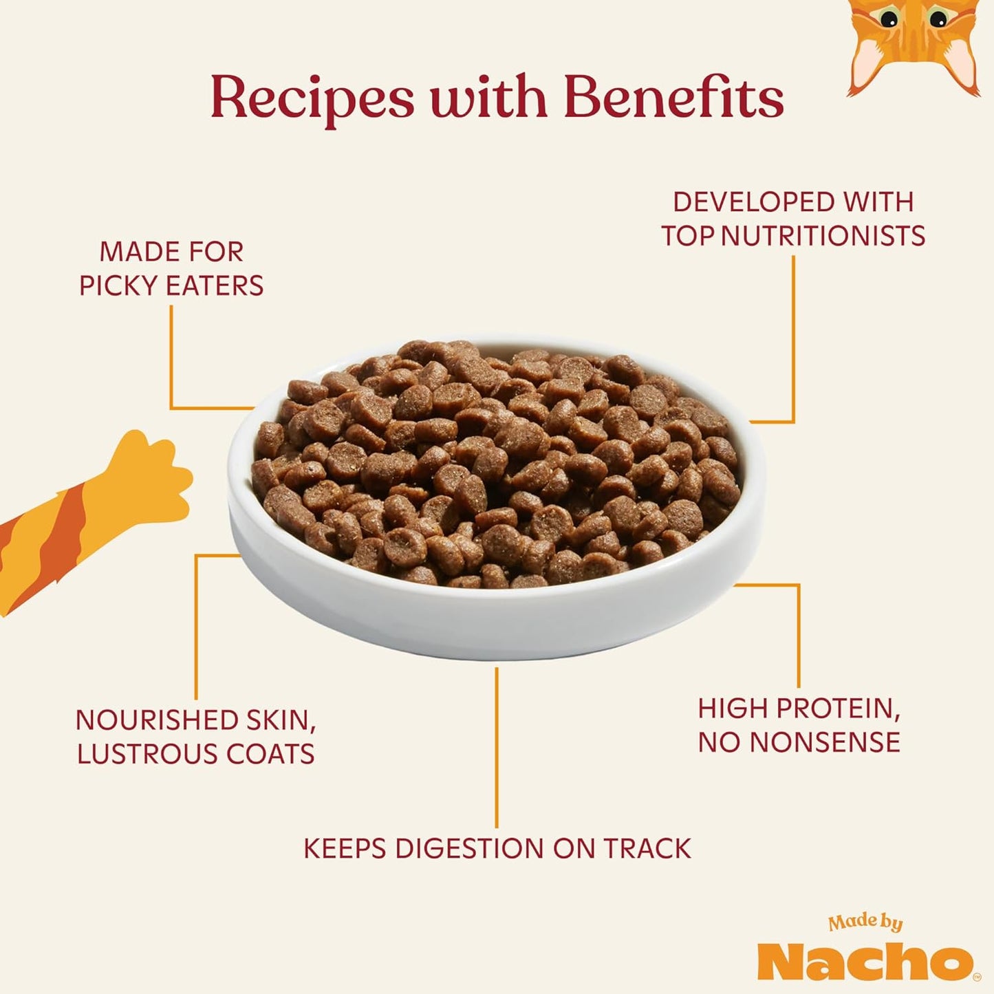 Made by Nacho Kitten Dry Kibble Infused with Bone Broth, Healthy High Protein Cat Food, Cage-Free Chicken and Chicken Liver, 2lb Bag