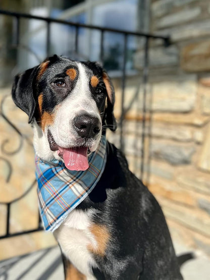 Lionet Paws Dog Bandana for Small Medium Large Dogs, Cat Kerchief Blue Plaid, Triangle Bibs Scarf for Girl or Boy
