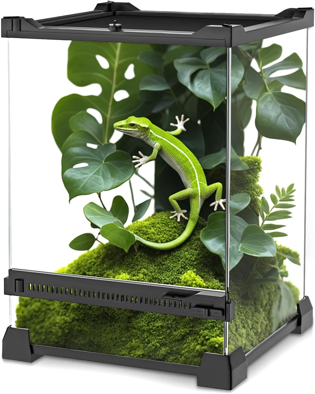 Mini Reptile Glass Terrarium 8"x8"x12" Durable Reptile Habitat Tank with Heat Resistant Aluminum Alloy Frame, Single Swinging Doors for no Jam by Sand and Other Debris - Pawvie
