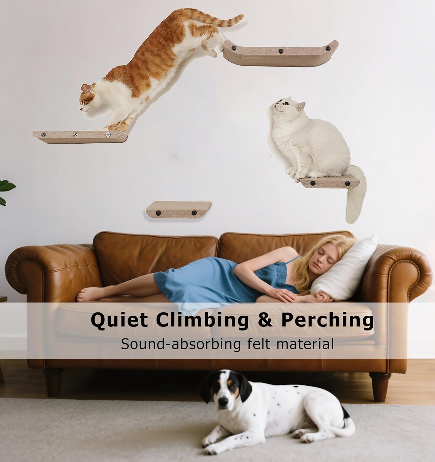 Wall Mounted Cat Shelves and Perches,Scratchable Cat Beds & Furniture for Indoor Cats, Soft PET Felt Feline Climbing Wall Set, Modern Jungle Gym System for Lounging and Sleeping(Set of 4-Oatmeal)