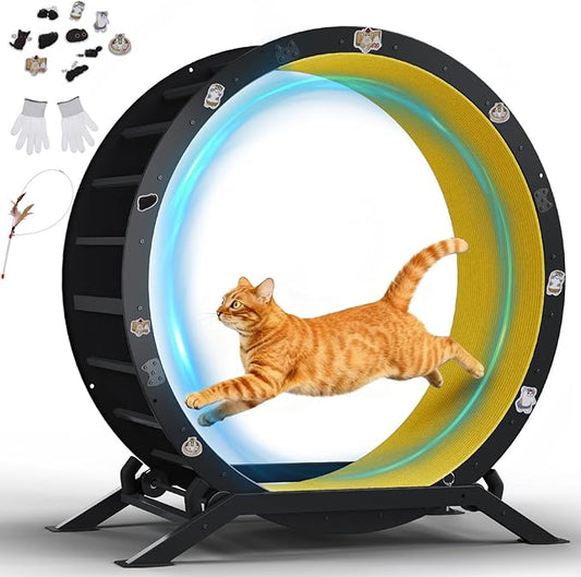 GTPLAYER Cat Wheels, Large Cat Exercise Wheel for Indoor Cats, 40"Diameter cat treadmill Detachable Carpet & Teaser, stickers, Ultra-quiet scroll wheel With latch, Suitable for Most Cats Metal, Yellow