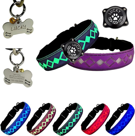 LED Dog Collar with AirTag Holder and Custom ID Tag, 15 Light Modes, Waterproof, Multiple Colors (PURPLE, L(15.7-19.7"))