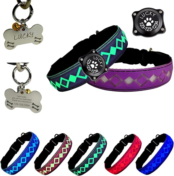 LED Dog Collar with AirTag Holder and Custom ID Tag, 15 Light Modes, Waterproof, Multiple Colors (PURPLE, S(7.87-11.8"))