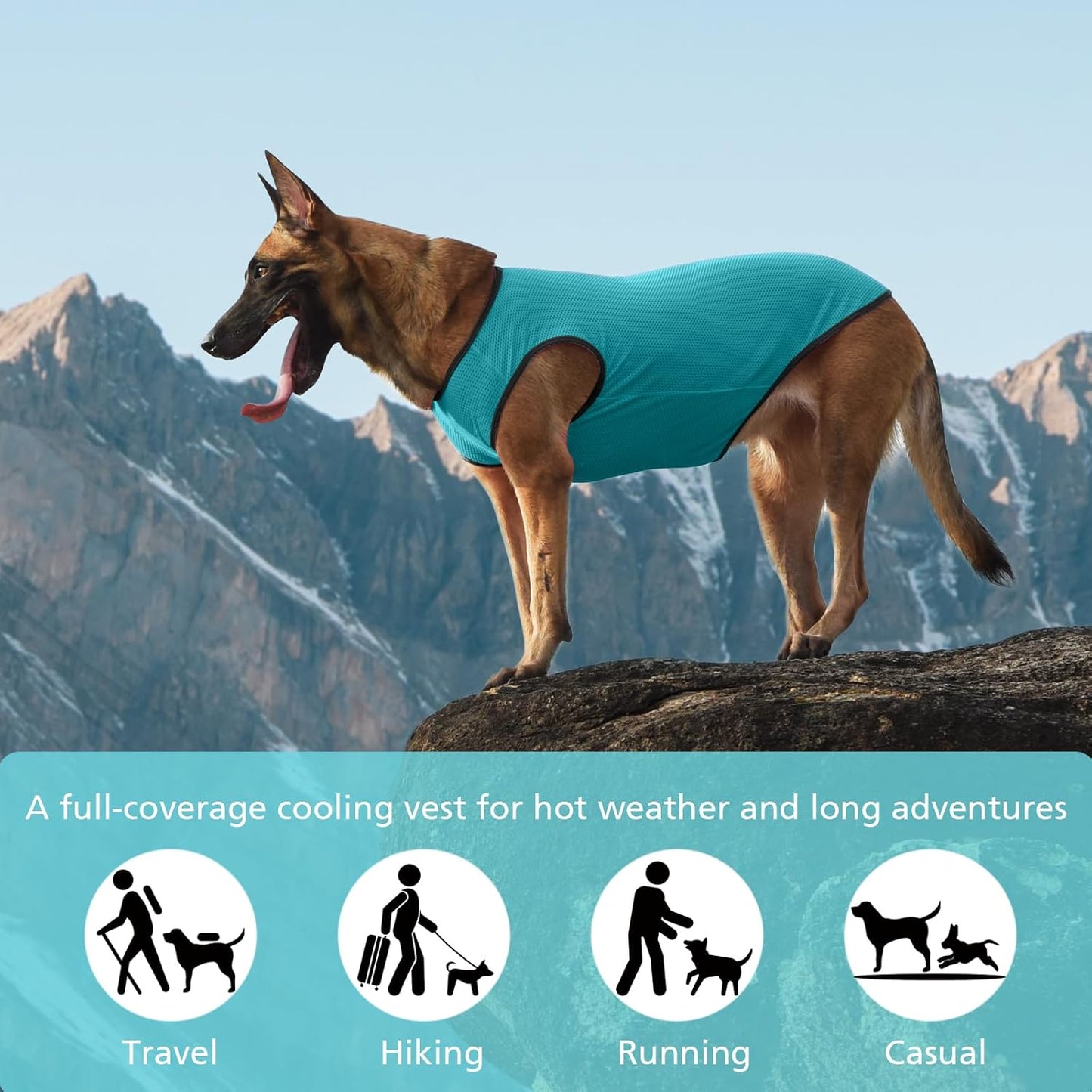 2 Pack Cooling Shirts for Dogs, Lightweight Mesh Breathable Dog Clothes for Small Dogs Boy Girl,Sun-Protection Sleeveless Shirts for Dog&Cat Puppy Vest Pet Apparel - S