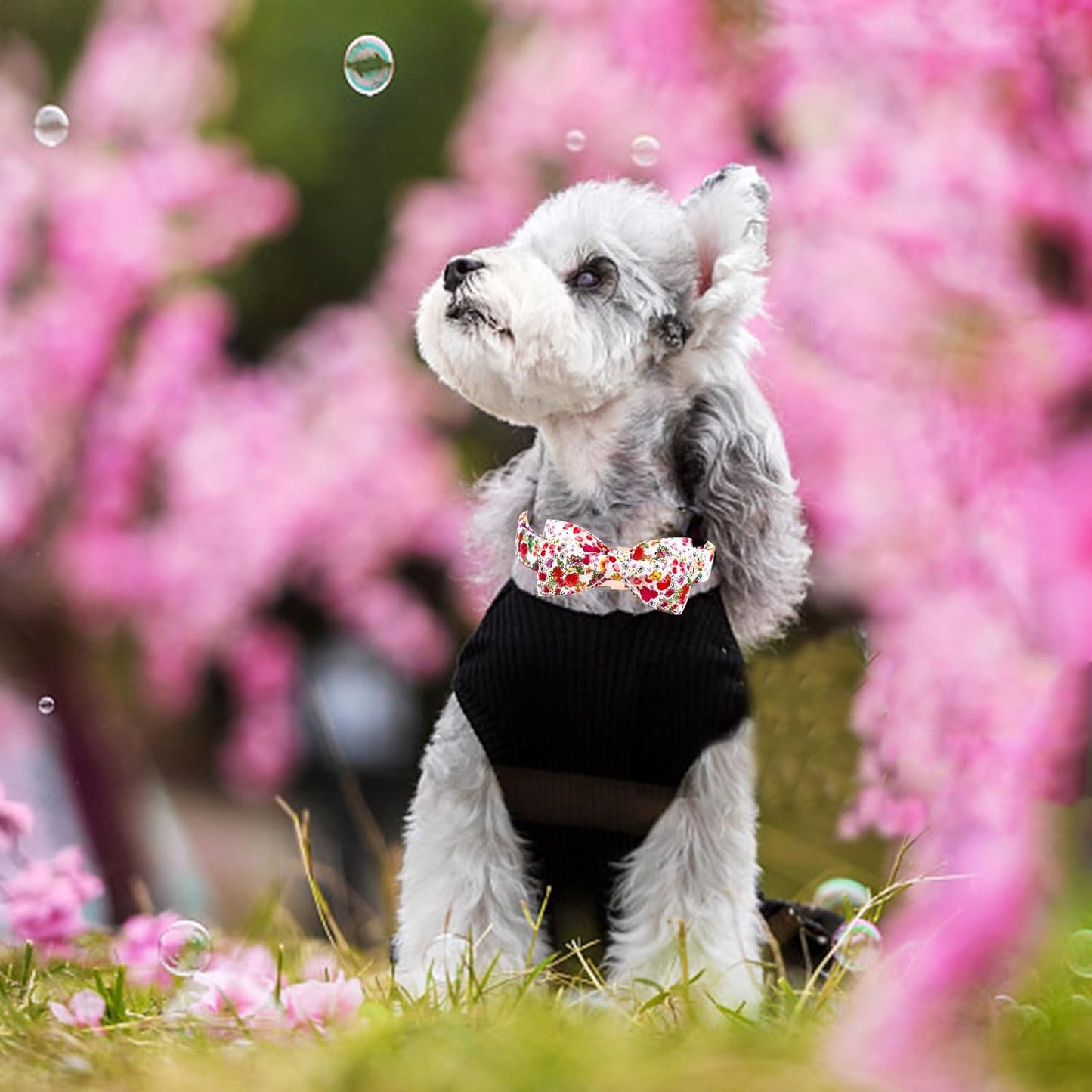 Elegant little tail Dog Collar, Pink Rose Print Pet Collar Summer Dog Collar Durable Metal Buckle Dog Collars Cotton Pet Adjustable Dog Collars for X-Small Dogs