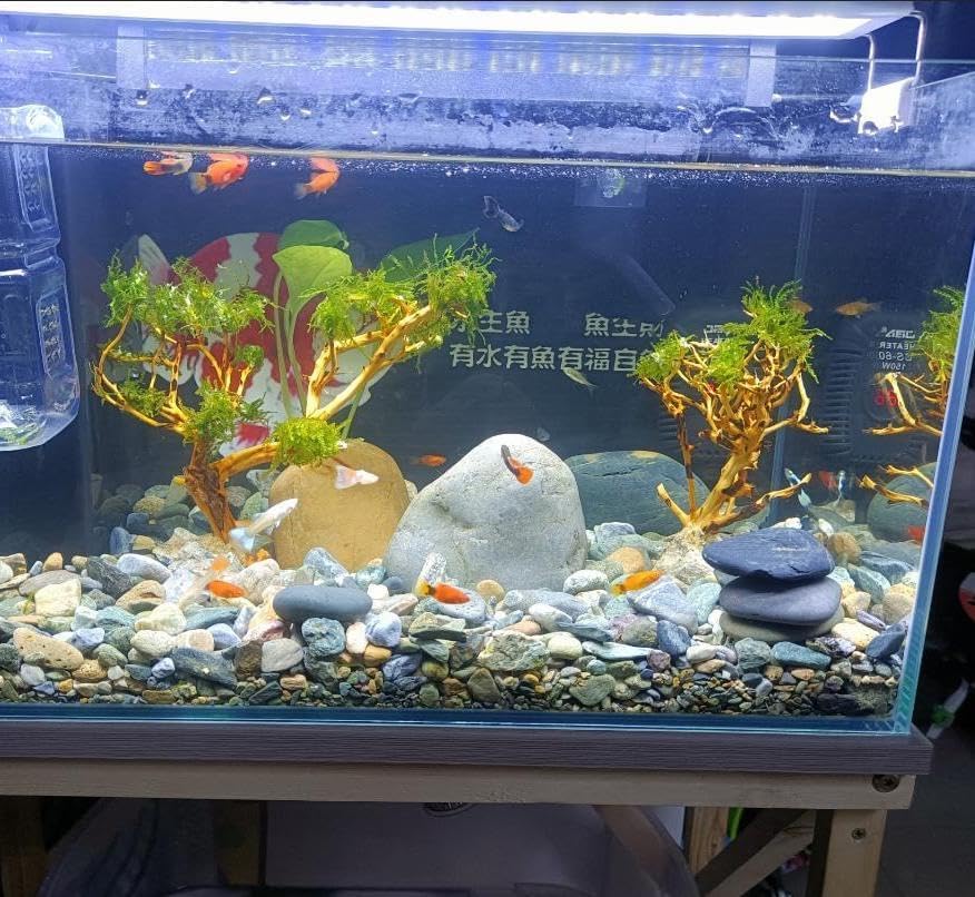 2pcs Small Bonsai Aquarium Tree,4-6inch,Handmade Aquarium Bonsai Tree Aquarium Decor Tree