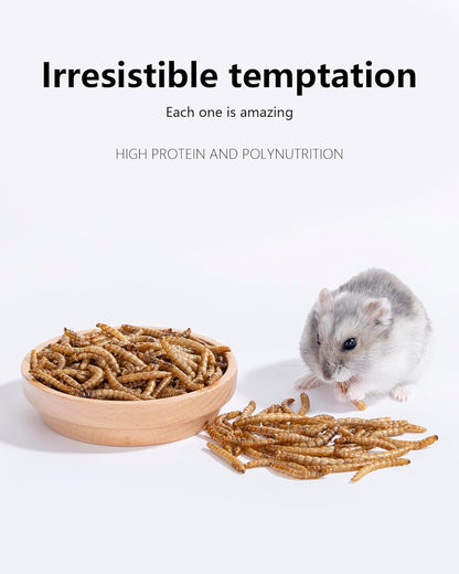 Niteangel Small Animal Snack & Treats - Small Critter Natural Treat for Dwarf Syrian Hamsters Gerbils Mice Sugar Glider Hedgehogs Chickens Birds