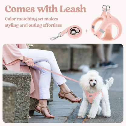 rabbitgoo Dog Harness Small Sized and Leash Set, Step in Soft Light Puppy Vest, Breathable Mesh Pet Harness, Reflective for Safe Outdoor Walking, Pink XS