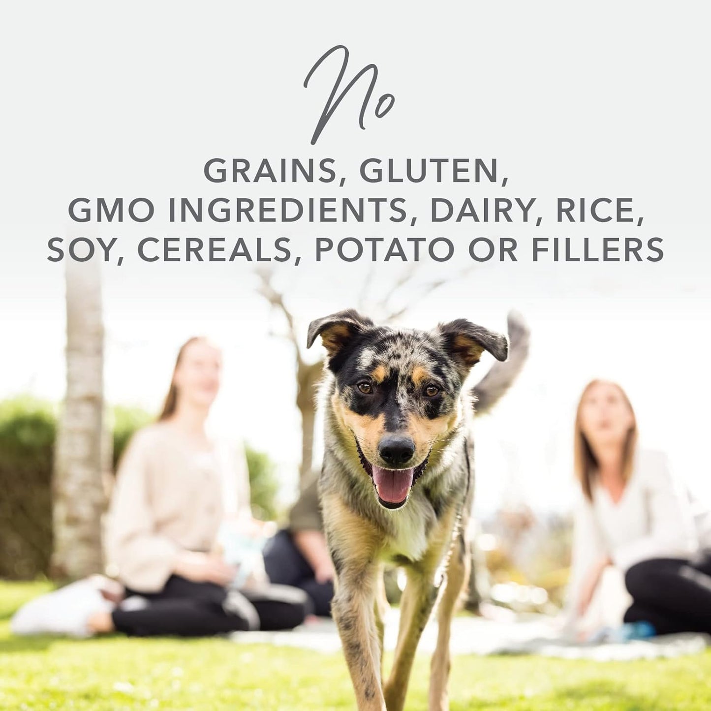 K9 Natural - Grain Free Freeze Dried Dog Food - Lamb, 1.1lb