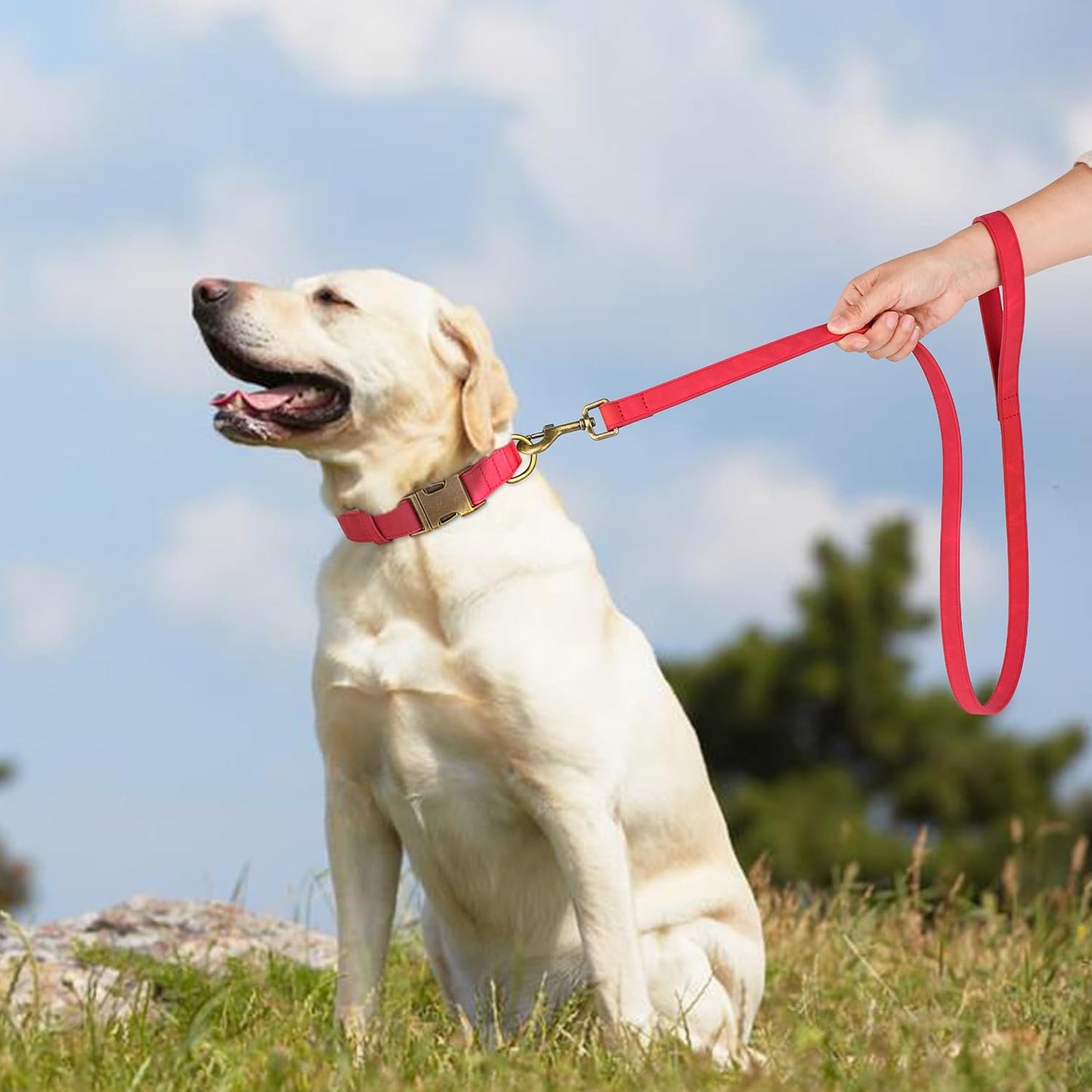 Didog Soft PU Leather Dog Collar, Stylish Quick Released Dog Collar for Large Dogs, Easy Clean Adjustable Pet Collar for Daily Walking, Red, L Fit 15-23" Neck