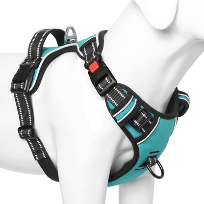 Timos Dog Harness, No-Pull Pet Harness with 2 Leash Clips, Adjustable Soft Padded Dog Vest, Reflective Outdoor Pet Oxford Vest with Easy Control Handle Turquoise
