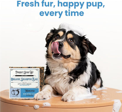 Medicated Organic Dog Shampoo Bar for Hot Spots, Dry Coat, and Allergies, All Natural Dog Shampoo with Neem, Aloe, and ACV, Eco-Friendly, Vet Recommended, 2 Bars for Sensitive Skin Relief