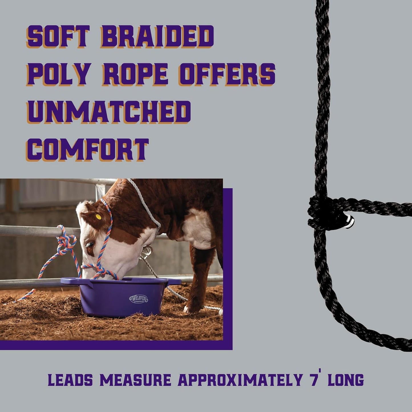 Weaver Leather Livestock Cattle Poly Rope Halter Black