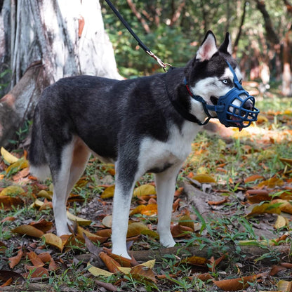BARKLESS Dog Muzzle, Soft Basket Silicone Muzzle for Dogs to Prevent Biting and Chewing, Breathable Cage Mouth Cover for Training, Allows Drinking and Panting, Used with Collar