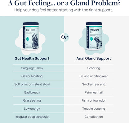 Veterinary Formula Gut Health Supplement for Dogs – Vet-Formulated Probiotic Chews with Digestive Enzymes & Fiber – Smart Vitality Supports Digestive Health, Gut Balance & Stool Quality, 60 Soft Chews