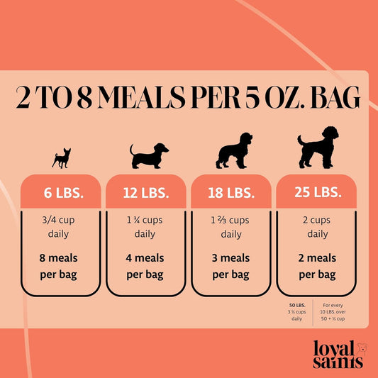 Freeze Dried Raw Dog Food - Premium Turkey and Salmon Flavor with High Protein and Grain Free Dog Food for All Breeds and Picky Eaters - Versatile as Meal Topper, Snack, and Treats, 14 Oz