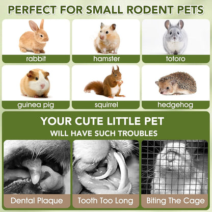 12PCS Rabbit Chew Sticks, Hanging Chew Sticks & Cakes Timothy Hay Rose Chrysanthemum Treat for Bunny Chinchilla Guinea Pig Hamster and Other Small Pets Molar Snack Toy