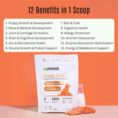 K9 Power Puppy Gold 1 lb - Supplement for Growing Puppies & Nursing Mothers - Essential Nutrients for Healthy Growth & Development - 45 Scoops