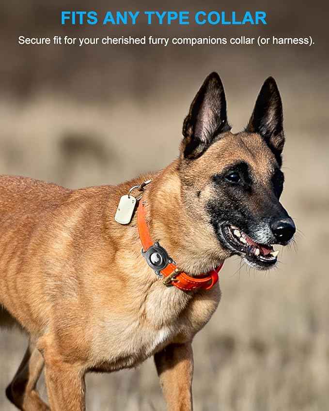 Airtag Dog Collar Holder | Airtag Dog Collar Waterproof - Airtag Holder for Dog Collar - Dog Airtag Holder with Removable Metal Loop, Light Weight fit Width3cm/ Thick4.5mm Air Tag Dog Collar, Blue, 1