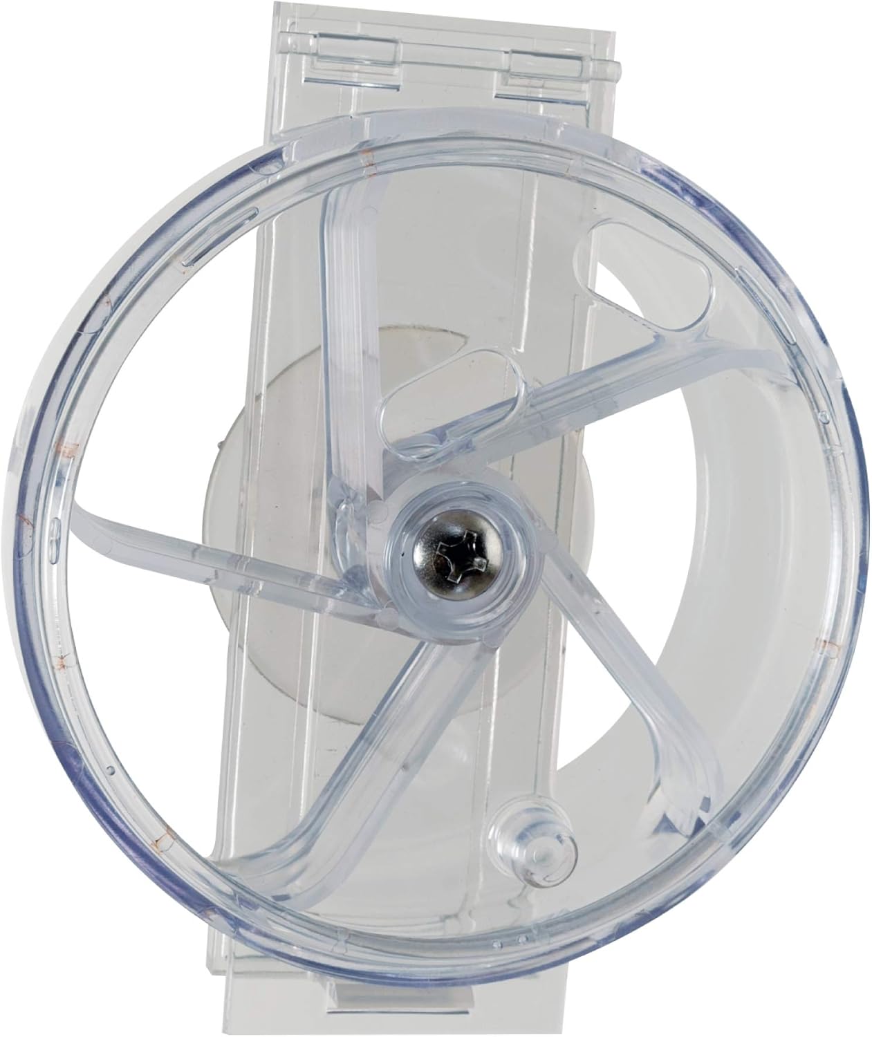 Paradise Toys Bird Creative Foraging System Wheel, Spins with Food Inside, 6” Diameter
