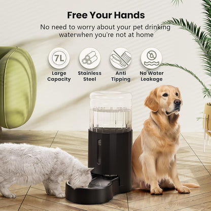 CZPET Automatic 7L Dog and Cat Water Dispenser with Stainless Steel Bowl Gravity Waterer,100% BPA-Free,Large Capacity and Drinking Area Noise-Free for Pets(7L Water Dispenser, Black)