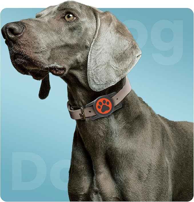 Waterproof Dog Collar Airtag Holder,Stretchy Silicone Full Body Covered AirTag Holder for Dog Cat Collars (Black-Orang)