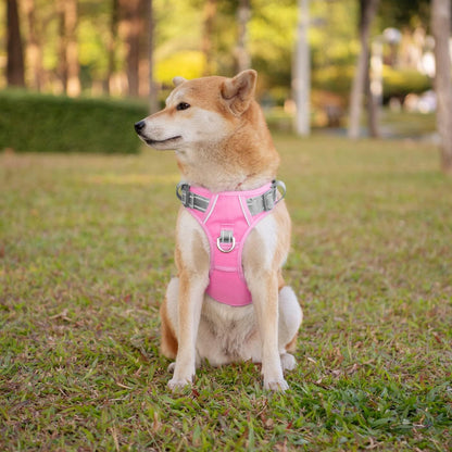 PHOEPET No Pull Dog Harness, Unique Colors Reflective Adjustable Dog Vest, with Soft Training Handle Metal Clips for Small Medium Large Dogs (Baby Pink Base & Grey Straps,XL)