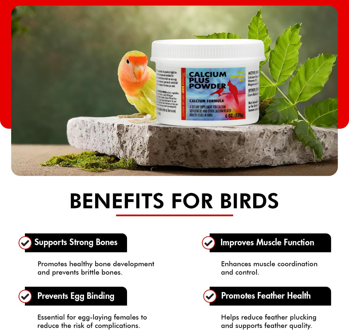 Morning Bird Calcium Plus Powder for Birds 6 oz – Calcium Carbonate Powder with Magnesium Glycinate & Vitamin D – Bone Strength & Immune Support Supplement – Calcium Formula for All Bird Sizes
