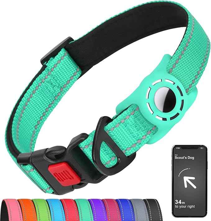 AirTag Dog Collar with AirTag Holder Compatible for Air Tag, Reflective Soft Padded, Safety Locking Buckle, Adjustable Nylon for Small Medium Large Dogs (Teal,XL)