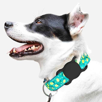 SWINCHO for AirTag 1st & 2nd Generation Holder[2 Pack] Waterproof High-Strength Elastic Silicone AirTag Dog Collar Holder (2xBlack)