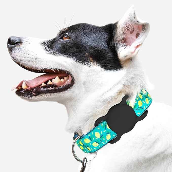 SWINCHO for AirTag(1st & 2nd Generation) Dog Collar Holder [2 Pack] Waterproof High-Strength Elastic Silicone Dog Cat Air Tag Holder (WineRed&Midnight Blue)