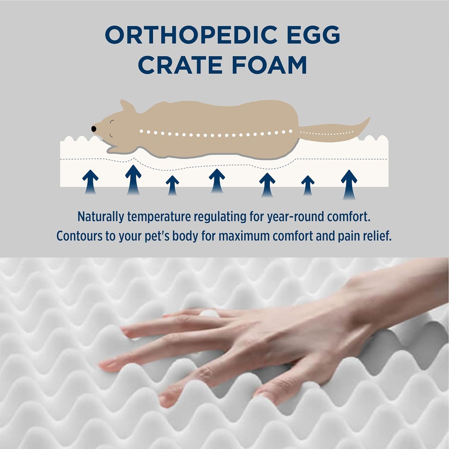 Bedsure Dog Bed for Large Dogs - Orthopedic Waterproof Puppy Beds with Removable Washable Cover, Egg Crate Foam Pet Mat, Suitable for Pet Up to 65 lbs