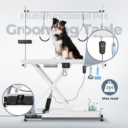 Heavy Duty Electric Lifting Pet Dog Grooming Table for Large Dogs with Overhead Arm, Anti-Skid Rubber Desktop and Powerful Motor, 50'' / White
