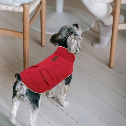 Queenmore Warm Dog Coat, Cold Weather Puffer Jacket with Ultra Thick Plush Lining and Storage Pockets (Red, Large)