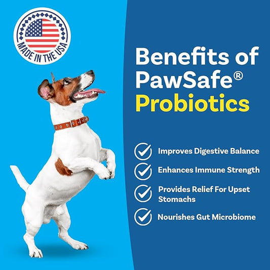 PawSafe® Dog Probiotics Soft Chews for Picky Eaters - USA Made, 120 Count - Digestive & Gut Health, Diarrhea, Gas Relief, Allergy & Itchy Skin Support - Natural with Pumpkin - Honey Chicken Flavor