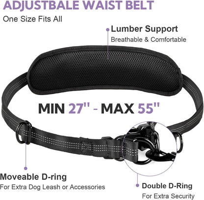Hands Free Dog Leash, Shcok Abosoring Bungee with Double Padded Handles, Waist Leash for Dog Walking, Dog Leash with Bungee for Medium & Large Dog, Dog Walking Accessories, Black Purple