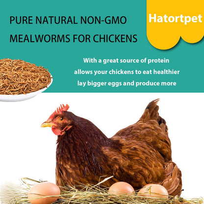 Dried Mealworms 10LB Pure Natural Non-GMO Mealworms for Chickens High Protein Chickens Feed Meal Worms for Laying Hens Wild Birds