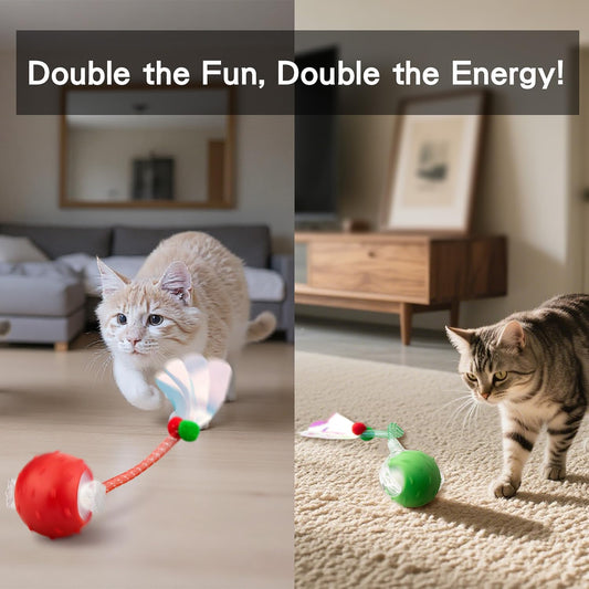 Red & Green Interactive Cat Toy Ball Combo â Automatic Agile Moving Cats Toys with 4 Tail Accessories, Bird Chirping & Motion Activated, Kitten Balls for Multi-Cat Households