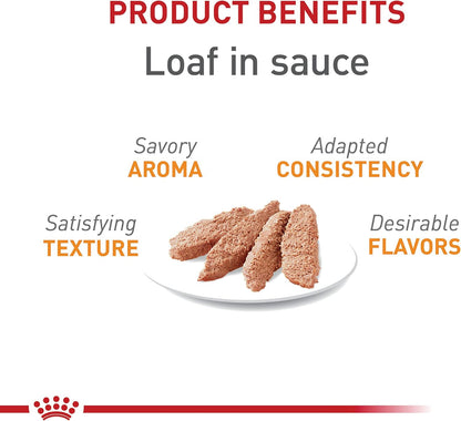 Royal Canin Feline Care Nutrition Hair & Skin Care Loaf in Sauce Canned Cat Food, 5.1 oz can (24-count)