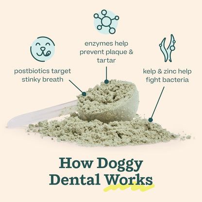 WOOF Dental Kit- Includes Pupsicle Dog Toy, Treat Tray, Shaker Bottle, Chicken Pupsicle Pops, and Dog Teeth Cleaning Powder - Supports Oral Health for Dogs - Large