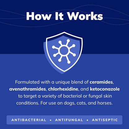 CeraSoothe CHX+KET Antiseptic Shampoo for Dogs, Cats, and Horses - 16oz