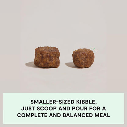 Open Farm, Grain-Free Dry Dog Food for Small Breeds, High-Protein Kibble, Sustainably & Ethically Sourced Ingredients, Non-GMO Veggies & Superfoods, Chicken & Turkey Recipe for Small Dogs, 11lb Bag