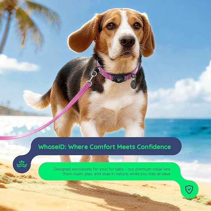 WhoseID Premium AirTag Dog Collar - Air Tag Small Dog Collar | Fur-Safe Magnetic Buckle | IPX8 Waterproof Reflective Dog Collar with AirTag Holder