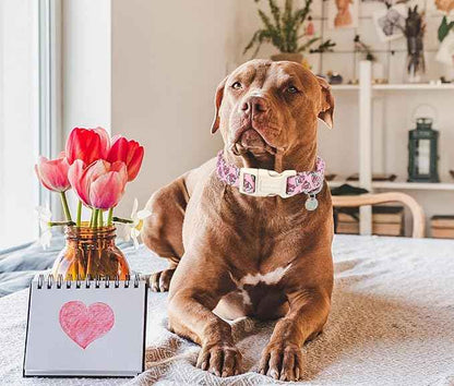 DOGWONG Valentine's Love Letter Dog Collar - Adjustable Durable Pink Heart Cute Collar for Small Medium Dogs
