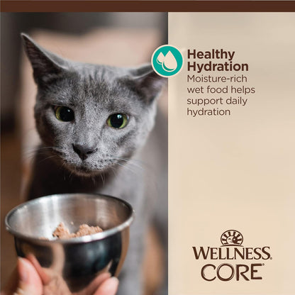 Wellness CORE Tiny Tasters Flaked Adult Wet Cat Food, Natural, Protein-Rich, Grain Free, 1.75-Ounce Pouch, 12 Pack, (Tuna & Salmon)