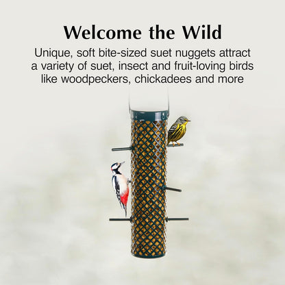 C&S Sunflower Suet Nuggets, Suet Nuggets for Wild Birds, 8 Lbs